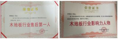 木地板優(yōu)秀行業(yè)優(yōu)秀勞?！陚|